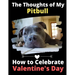 The Thoughts of My Pitbull: How to Celebrate Valentine's Day