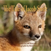 The Tale of Jacob Swift