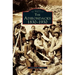 Adirondacks: 1830-1930