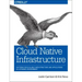 Cloud Native Infrastructure: Patterns for Scalable Infrastructure and Applications in a Dynamic Environment