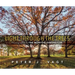 Light Through the Trees: Photographs at the Morton Arboretum