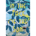 In the Face of the Sun: A Fascinating Novel of Historical Fiction Perfect for Book Clubs