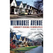 Milwaukee Avenue: Community Renewal in Minneapolis