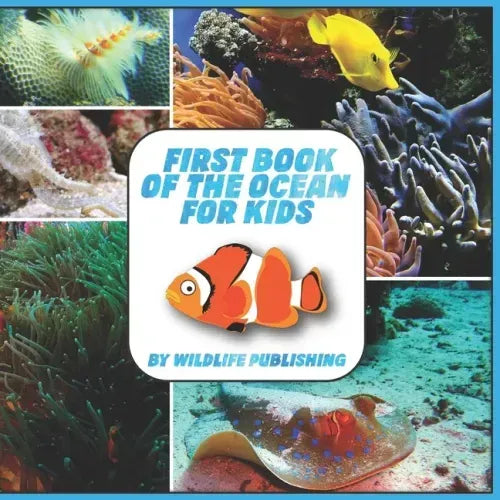First Book Of The Ocean For Kids: Ocean Animals Activity Book