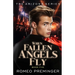 When Fallen Angels Fly