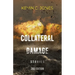 Collateral Damage: Stories