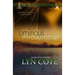 Ominous Midsummer: Clean Mystery Romance