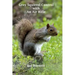 Grey Squirrel Control: With An Air Rifle