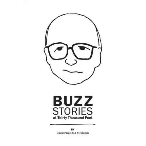 Buzz Stories at Thirty Thousand Feet