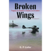 Broken Wings: Tragedy & Disaster in Alaska Civil Aviation