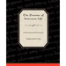 The Promise Of American Life