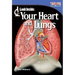 Look Inside: Your Heart and Lungs