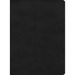 CSB Apologetics Study Bible, Black Leathertouch
