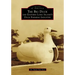 The Big Duck and Eastern Long Island's Duck Farming Industry