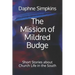 The Mission of Mildred Budge: Short Stories about Church Life in the South