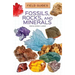 Fossils, Rocks, and Minerals
