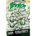 Quintessence of Terror: Dark Subgenres (2018)