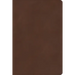 CSB Rainbow Study Bible, Brown Leathertouch