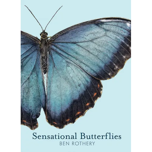 Sensational Butterflies