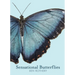 Sensational Butterflies