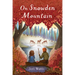 On Snowden Mountain