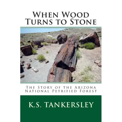 When Wood Turns to Stone: The Story of the Arizona National Petrified Forest