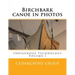 Birchbark canoe in photos