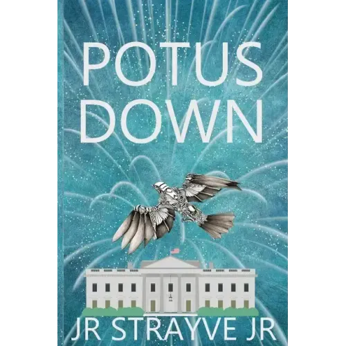 Potus Down