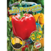 See Bell Peppers Grow