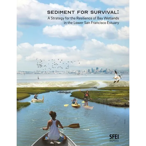 Sediment for Survival: A Strategy for the Resilience of Bay Wetlands in the Lower San Francisco Estuary