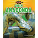 Green Anaconda