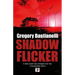 Shadow Flicker