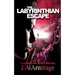 The Labyrinthian Escape