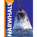 Curious about Narwhals