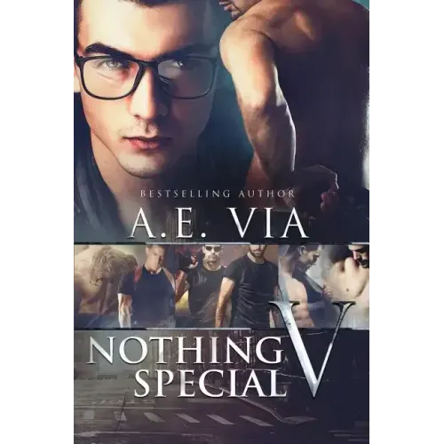 Nothing Special V