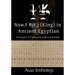 Nsw.T Bjt.J (King) in Ancient Egyptian: : A Lesson in Paronymy and Leadership