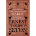 Raggylug, The Cottontail Rabbit and Other Animal Stories with Lobo, Rag, and Vixen