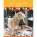 Caring for Farm Animals