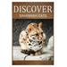 Savannah Cats - Discover: Early reader's wildlife photography book