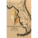 Florida Fossils: Mollusks