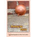 Peeling My Onion: An Autobiography by Peter Frost Gelber