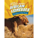 African Lionesses: Hunters of the Pride