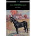 Black Beauty (Illustrated by Robert L. Dickey)