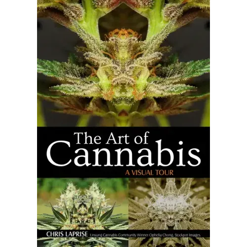 The Art of Cannabis: A Visual Tour