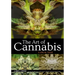 The Art of Cannabis: A Visual Tour