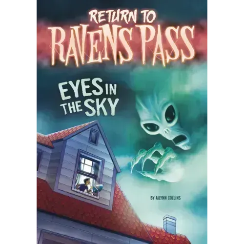 Eyes in the Sky
