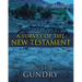 A Survey of the New Testament