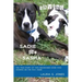 Saving Sadie and Sasha: The true story of two abandoned dogs who showed me the way home.