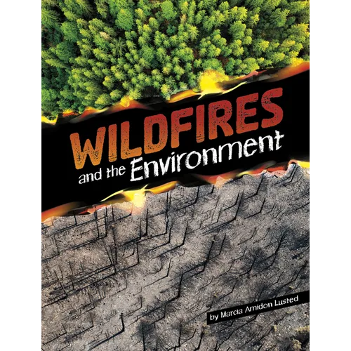 Wildfires and the Environment