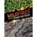 Wildfires and the Environment